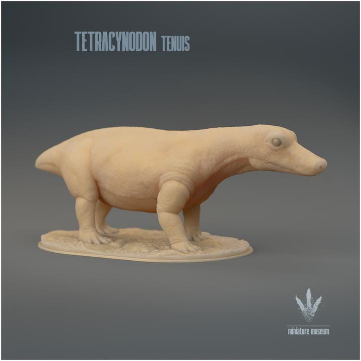 Tetracynodon tenuis : The Miniature Synapsid - UNPAINTED 3D Resin Figure - Miniature Museum