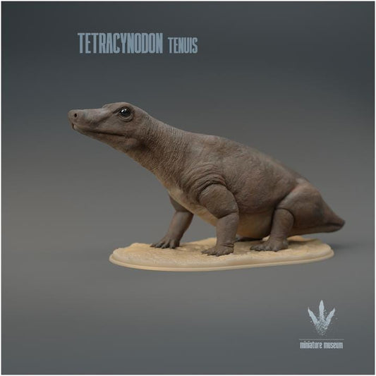 Tetracynodon tenuis : Sitting - UNPAINTED 3D Resin Figure - Miniature Museum