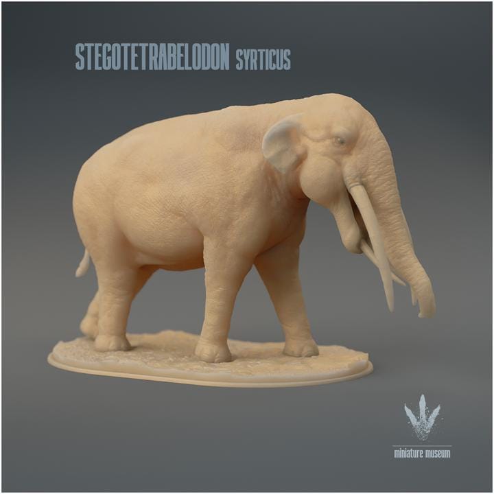 Stegotetrabelodon syrticus : The Four Roofed Tusked-Tooth - UNPAINTED 3D Resin Figure - Miniature Museum