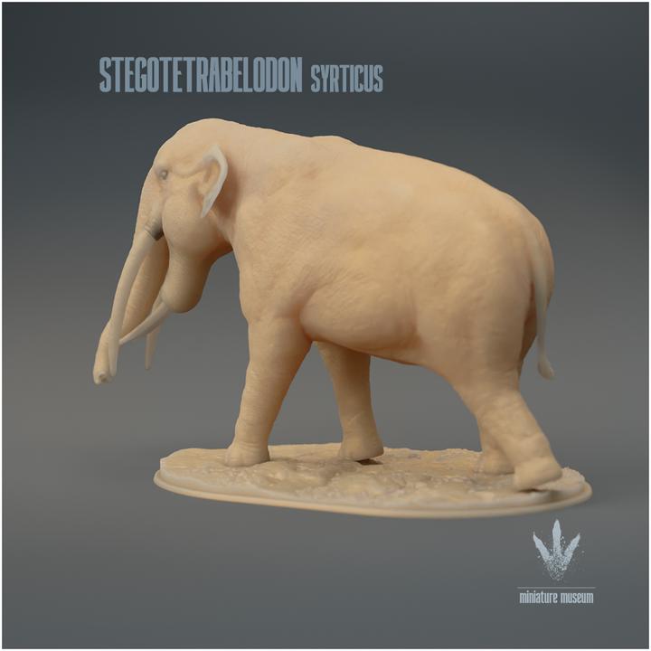 Stegotetrabelodon syrticus : The Four Roofed Tusked-Tooth - UNPAINTED 3D Resin Figure - Miniature Museum