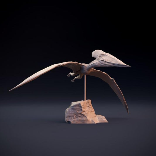 Tupuxuara flying - pterosaur - UNPAINTED 3D Resin Figure - Dino and Dog Miniatures