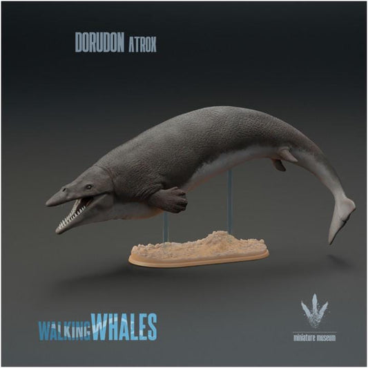 Dorudon atrox : Spear-toothed Whale - UNPAINTED 3D Resin Figure - Miniature Museum