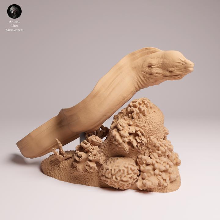 Giant Morray Eel Swim - UNPAINTED 3D Resin Figure - Animal Den Miniatures