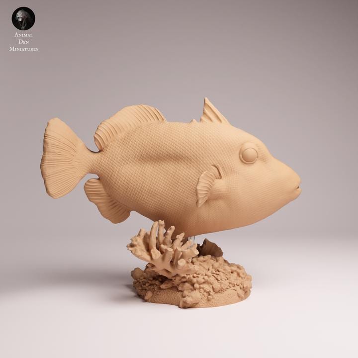 Clown Triggerfish - UNPAINTED 3D Resin Figure - Animal Den Miniatures