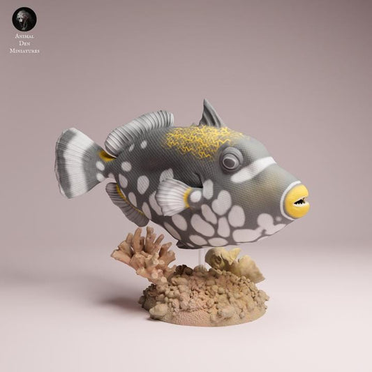 Clown Triggerfish - UNPAINTED 3D Resin Figure - Animal Den Miniatures