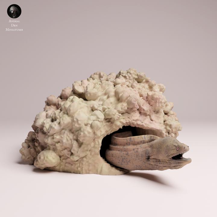 Giant Morray Eel Den - UNPAINTED 3D Resin Figure - Animal Den Miniatures