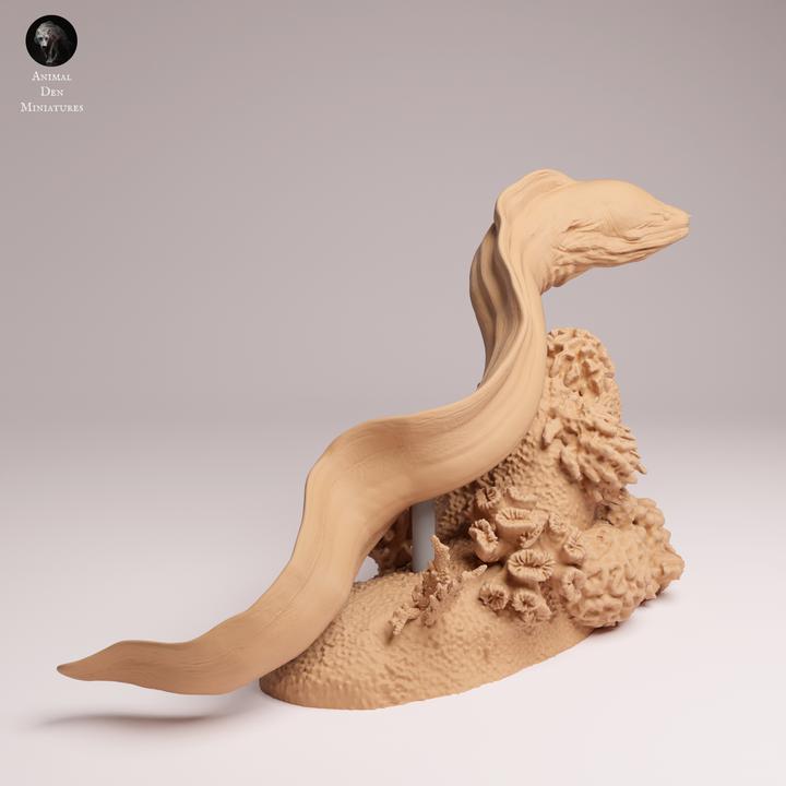 Giant Morray Eel Swim - UNPAINTED 3D Resin Figure - Animal Den Miniatures