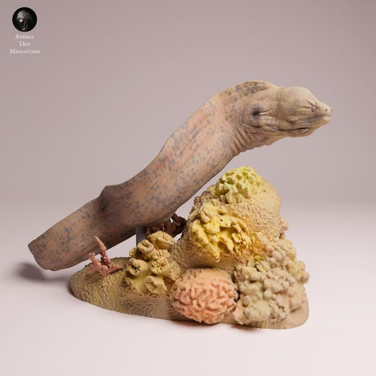 Giant Morray Eel Swim - UNPAINTED 3D Resin Figure - Animal Den Miniatures