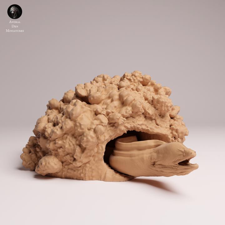 Giant Morray Eel Den - UNPAINTED 3D Resin Figure - Animal Den Miniatures