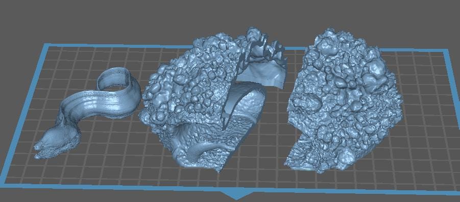 Giant Morray Eel Den - UNPAINTED 3D Resin Figure - Animal Den Miniatures
