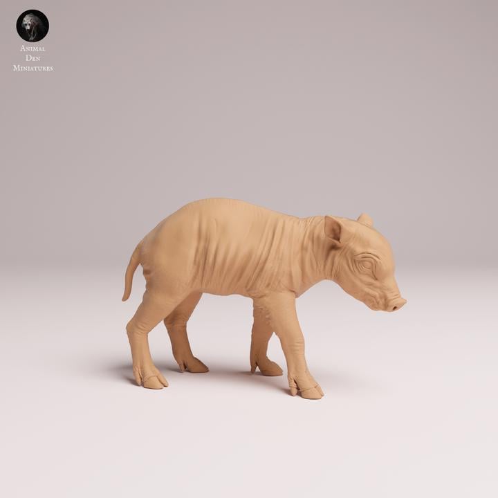 North Sulawesi Babirusa piglet - UNPAINTED 3D Resin Print - Animal Den Miniatures