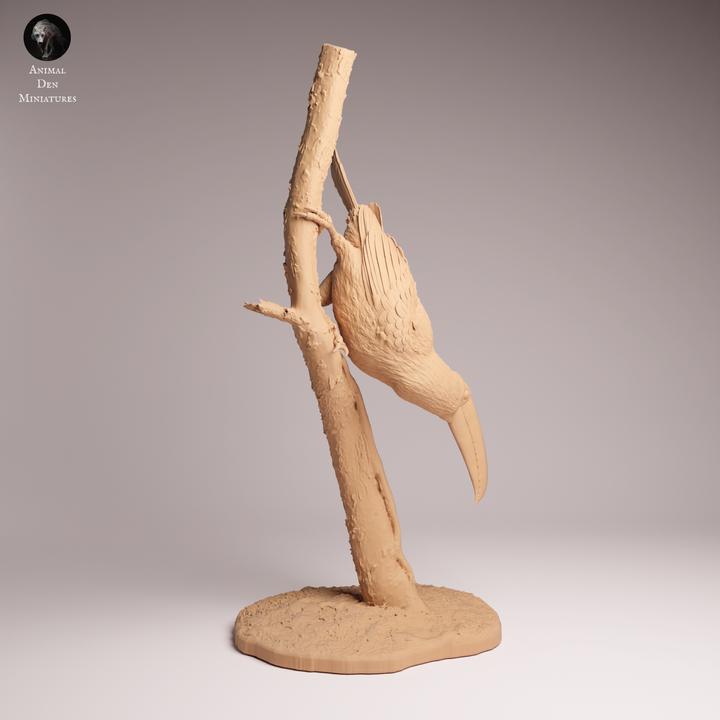 Toco Toucan - UNPAINTED 3D Resin Figurine - Animal Den Miniatures