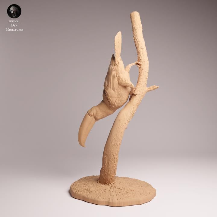 Toco Toucan - UNPAINTED 3D Resin Figurine - Animal Den Miniatures