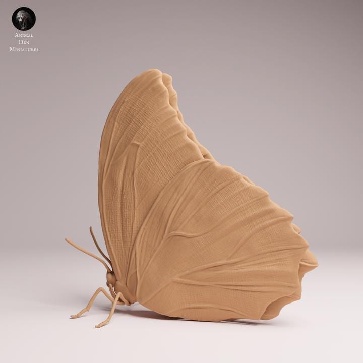 Blue Morpho Butterfly closed wings - UNPAINTED 3D Resin Print - Animal Den Miniatures