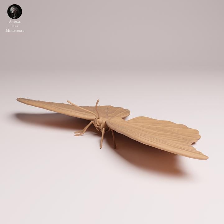 Blue Morpho Butterfly - UNPAINTED 3D Resin Print - Animal Den Miniatures