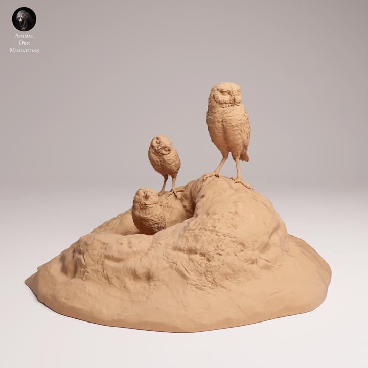 Burrowing Owls - UNPAINTED 3D Resin Print - Animal Den Miniatures