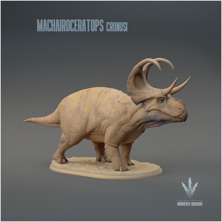 Machairoceratops cronusi : The Bent Sword Horned-face - UNPAINTED 3D Resin Print - Miniature Museum
