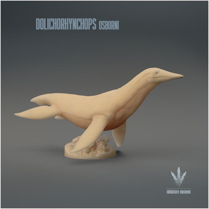 Dolichorhynchops osborni : The Long-nosed Face - UNPAINTED 3D Resin Figure - Miniature Museum