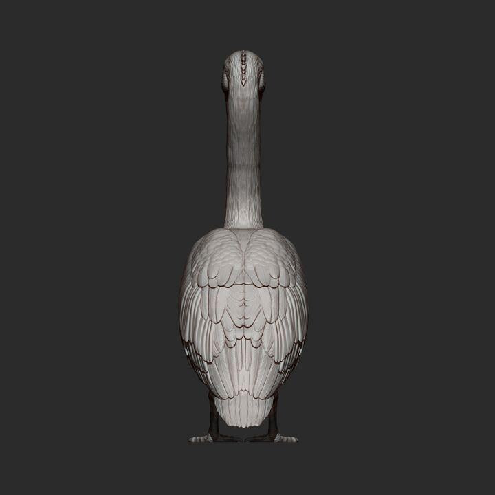 Pelican - UNPAINTED 3D figure - Alexander3dart