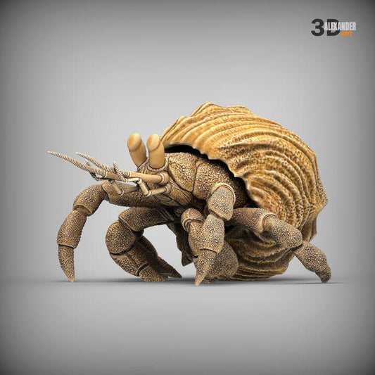 Hermit crab - UNPAINTED 3D Resin Figure - Alexander3dart