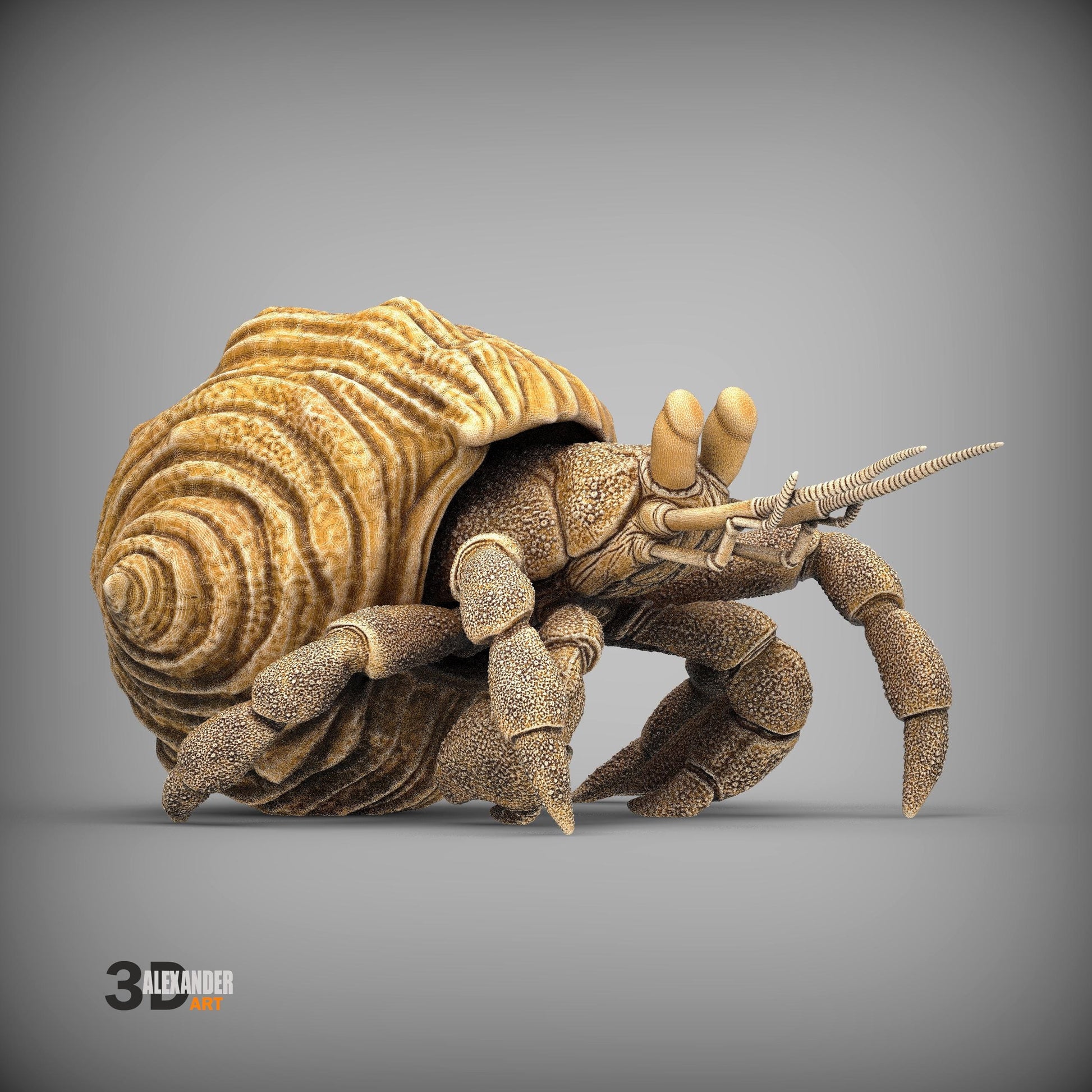 Hermit crab - UNPAINTED 3D Resin Figure - Alexander3dart