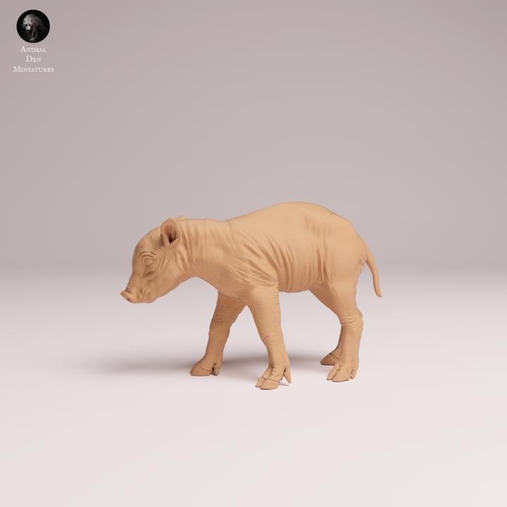 North Sulawesi Babirusa piglet - UNPAINTED 3D Resin Print - Animal Den Miniatures