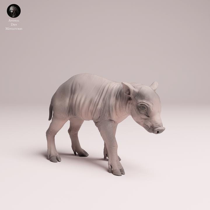 North Sulawesi Babirusa piglet - UNPAINTED 3D Resin Print - Animal Den Miniatures