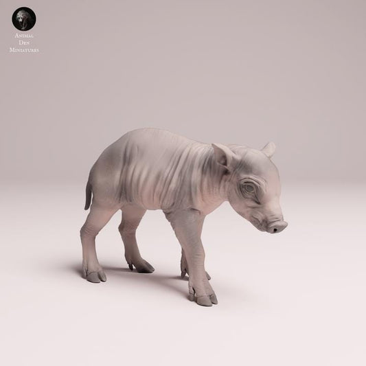 North Sulawesi Babirusa piglet - UNPAINTED 3D Resin Print - Animal Den Miniatures