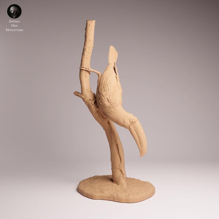Toco Toucan - UNPAINTED 3D Resin Figurine - Animal Den Miniatures