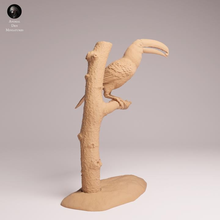 Toco Toucan Eat - UNPAINTED 3D Resin Figure - Animal Den Miniatures