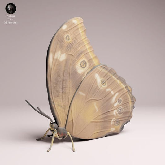 Blue Morpho Butterfly closed wings - UNPAINTED 3D Resin Print - Animal Den Miniatures