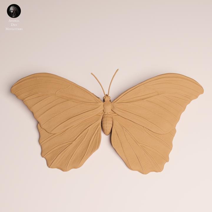 Blue Morpho Butterfly - UNPAINTED 3D Resin Print - Animal Den Miniatures