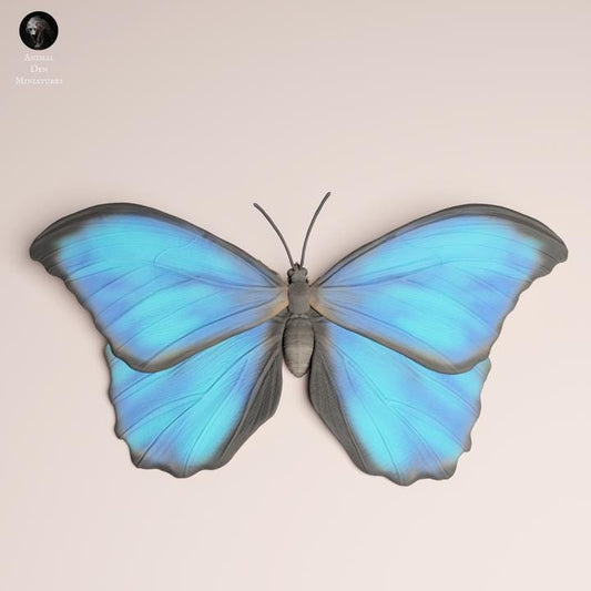 Blue Morpho Butterfly - UNPAINTED 3D Resin Print - Animal Den Miniatures