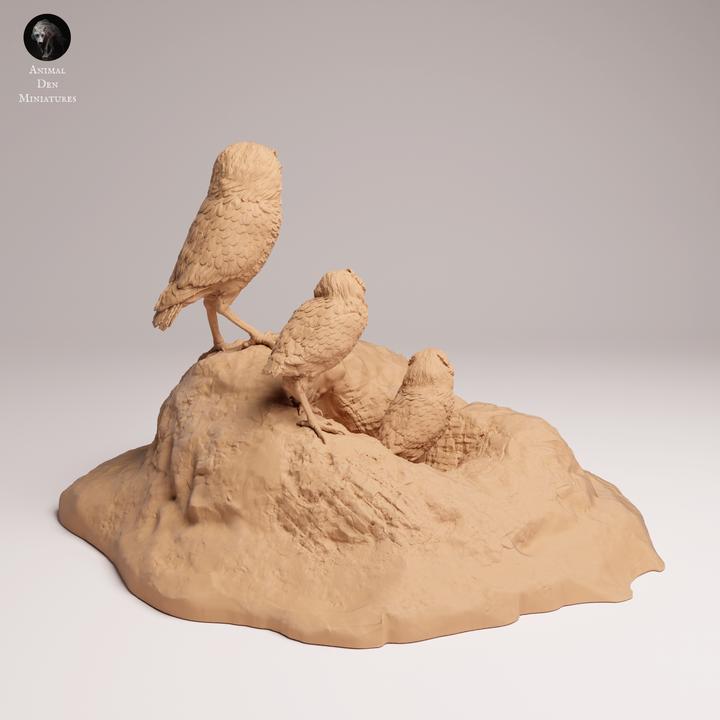 Burrowing Owls - UNPAINTED 3D Resin Print - Animal Den Miniatures