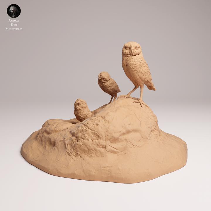 Burrowing Owls - UNPAINTED 3D Resin Print - Animal Den Miniatures