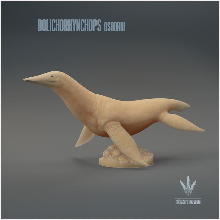 Dolichorhynchops osborni : The Long-nosed Face - UNPAINTED 3D Resin Figure - Miniature Museum