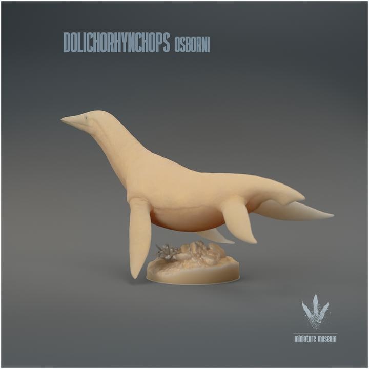 Dolichorhynchops osborni : The Long-nosed Face - UNPAINTED 3D Resin Figure - Miniature Museum