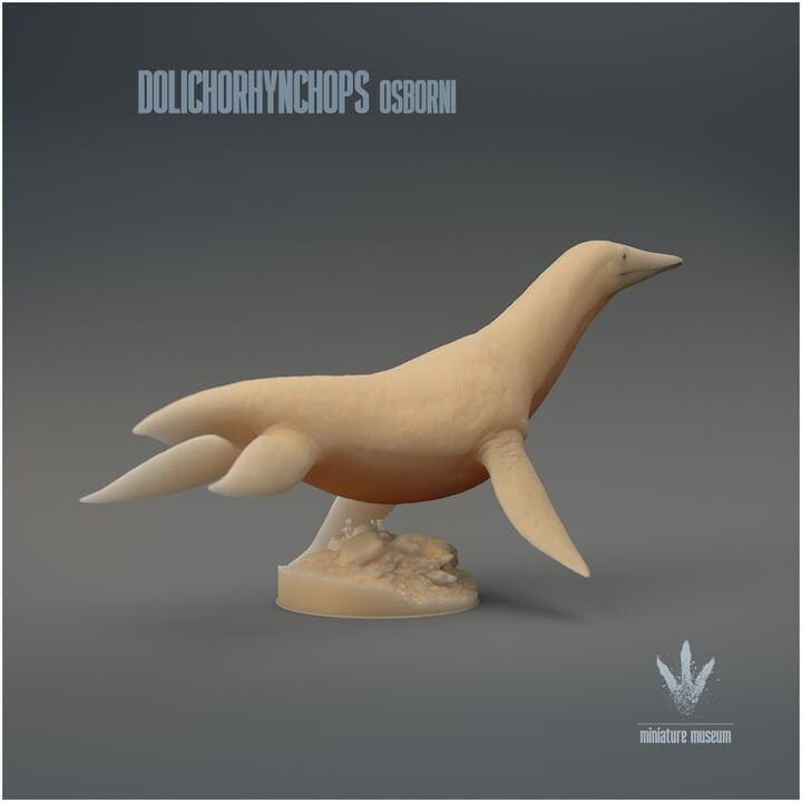 Dolichorhynchops osborni : The Long-nosed Face - UNPAINTED 3D Resin Figure - Miniature Museum