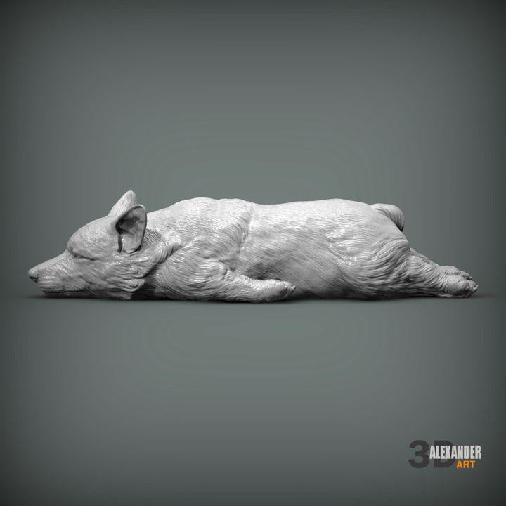 Sleeping Corgi - UNPAINTED 3D Figure - Alexander3dart