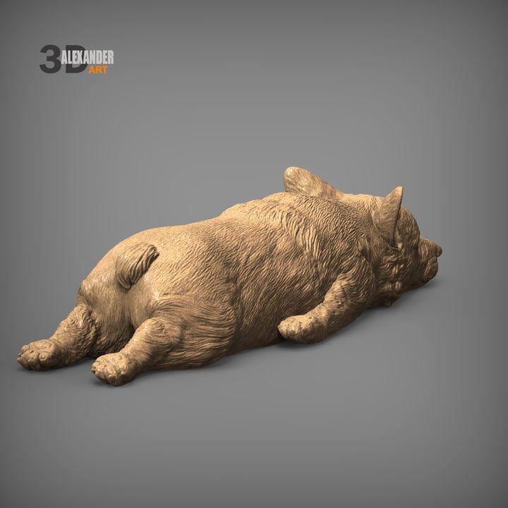 Sleeping Corgi - UNPAINTED 3D Figure - Alexander3dart