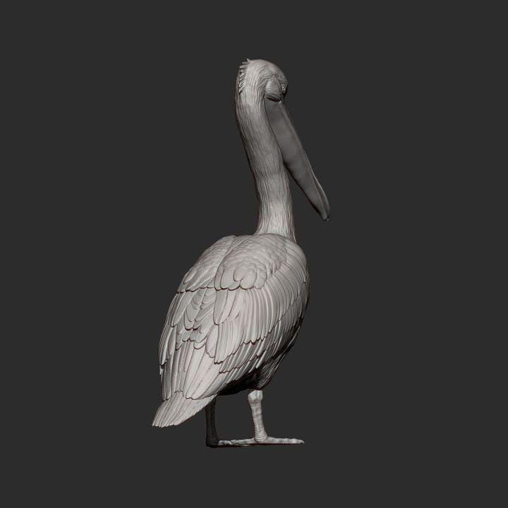 Pelican - UNPAINTED 3D figure - Alexander3dart