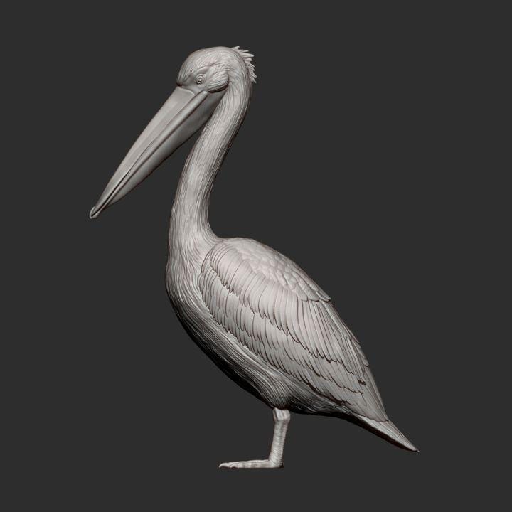 Pelican - UNPAINTED 3D figure - Alexander3dart