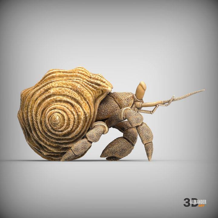 Hermit crab - UNPAINTED 3D Resin Figure - Alexander3dart