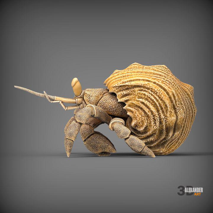 Hermit crab - UNPAINTED 3D Resin Figure - Alexander3dart