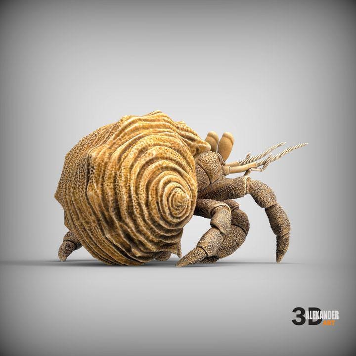 Hermit crab - UNPAINTED 3D Resin Figure - Alexander3dart