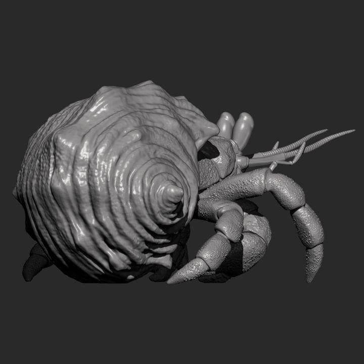 Hermit crab - UNPAINTED 3D Resin Figure - Alexander3dart